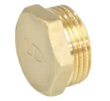 Заглушка латунь Ду 50 (2") НР LD LD.65.505.50