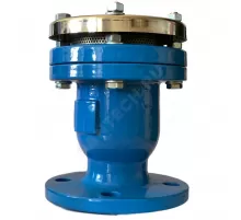 Вантуз автоматический однокамерный двойного действия чугун Ду 65 Ру10/16 фл вертикальный Benarmo