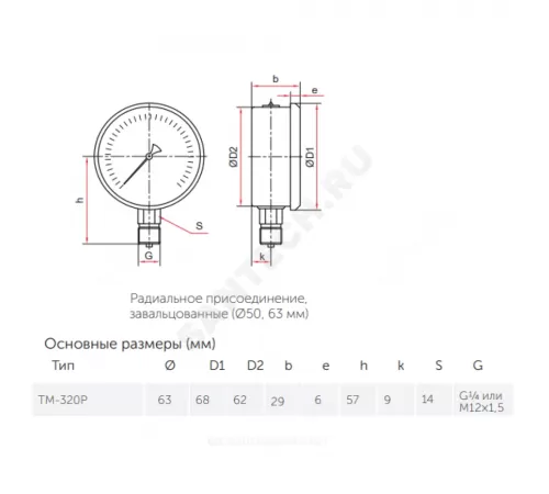 Манометр гидрозаполненный ТМ-320P.10 радиальный Дк63мм 0-0,6 МПа кл.1,5 G1/4" глицерин Росма 00000025726