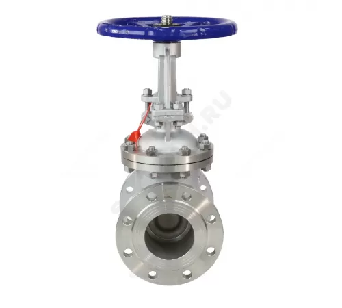 Задвижка клиновая нерж 30нж41нж Ду 250 Ру16 фл WGCN