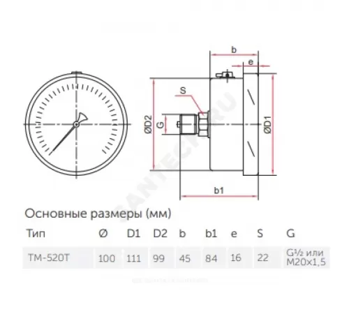 Манометр гидрозаполненный ТМ-520Т.20 осевой Дк100мм 0-0,6 МПа кл.1,0 G1/2" силикон Росма 00000031033