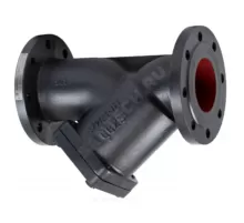 Фильтр сетчатый Y-образный чугун Ду 20 Ру16 фл ФСФ Ридан 082X4061R