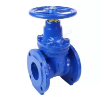 Задвижка чугун аналог МЗВ обрезиненный клин Ду 50 Ру16 Тмакс=75C фл Завод им Гаджиева