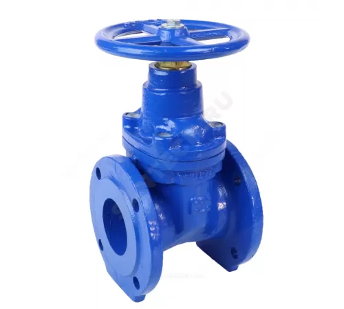 Задвижка чугун аналог МЗВ обрезиненный клин Ду 250 Ру10 фл Завод им Гаджиева