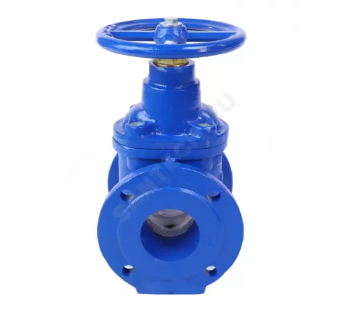 Задвижка чугун аналог МЗВ обрезиненный клин Ду 250 Ру10 фл Завод им Гаджиева