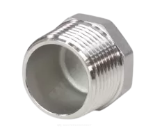 Заглушка сталь нерж Ду 50 (2") НР Benarmo