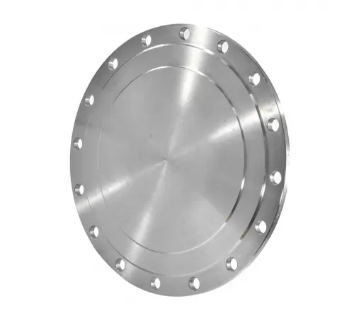 Заглушка сталь фланцевая Ду 600 Ру10 HXCX