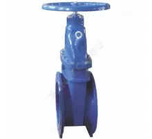 Задвижка чугун R55FLY аналог МЗВГ обрезиненный клин EPDM Ду 50 Ру16 Тмакс=120C фл Giacomini R55FLY005