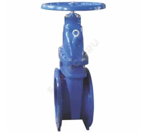 Задвижка чугун R55FLY аналог МЗВГ обрезиненный клин EPDM Ду 50 Ру16 Тмакс=120C фл Giacomini R55FLY005