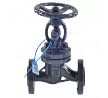 Клапан запорный сталь 15с65нж Ду 125 Ру16 Тмакс=425 оС фл HJCN