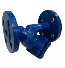 Фильтр сетчатый Y-образный чугун Ду 25 Ру16 Тмакс=90 oC фл ФСч RMCX