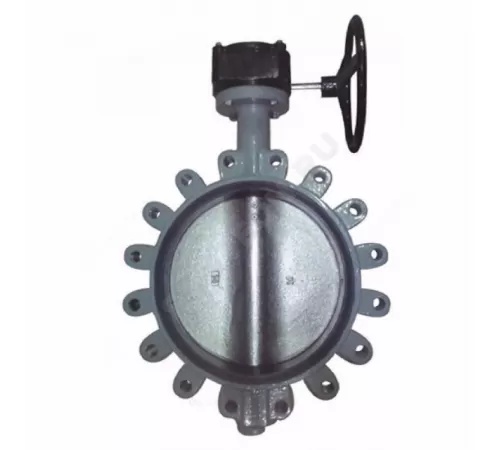 Затвор дисковый поворотный чугун R59FL Ду 600 Ру16 с резьб проушинами с редуктором диск чугун манжета EPDM Giacomini R59FLX060